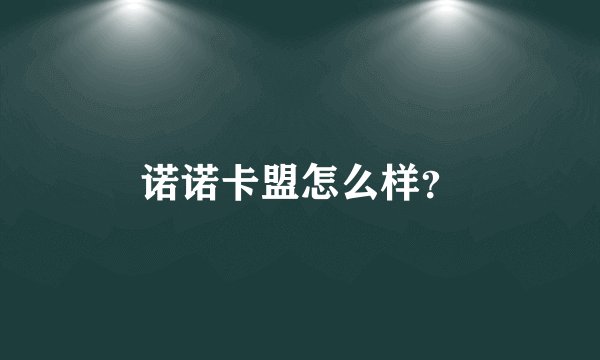 诺诺卡盟怎么样?