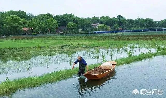 有人说现在全国各地都在扩养小龙虾,现在入市还来得及吗?
