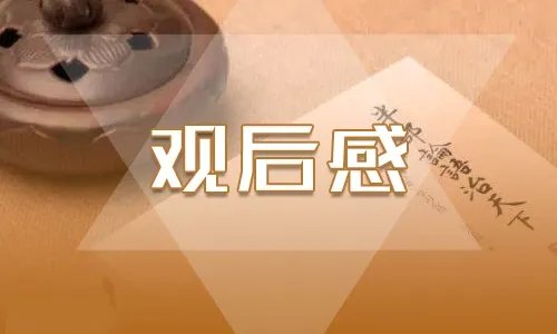 观看2021寻找最美孝心少年颁奖典礼观后感心得