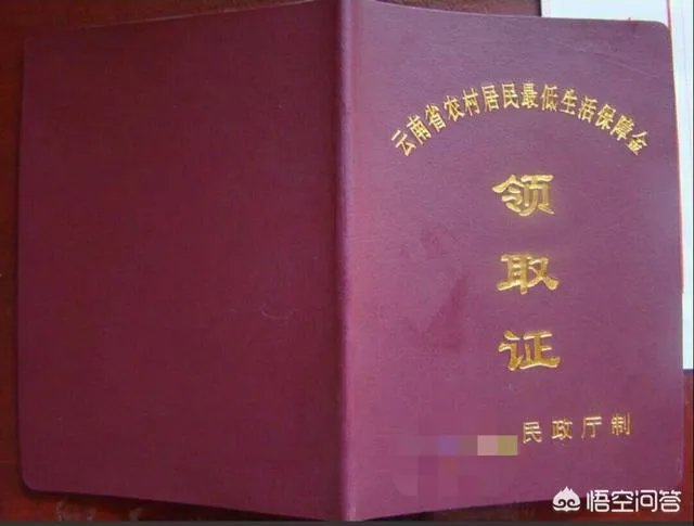 农村户口,有重大疾病、有车、有房可以办低保吗?