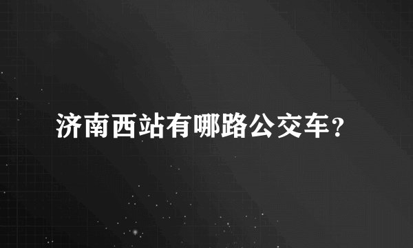 济南西站有哪路公交车？