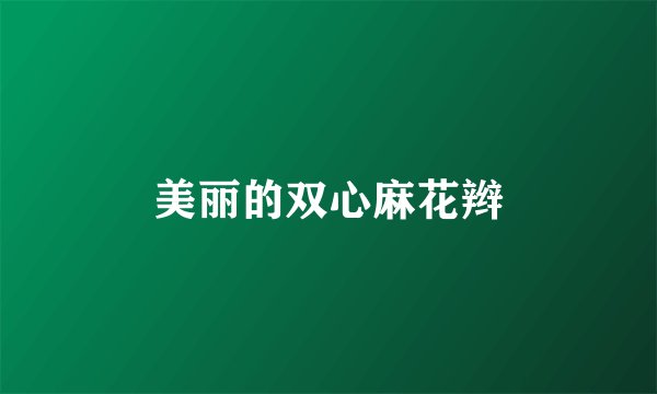 美丽的双心麻花辫