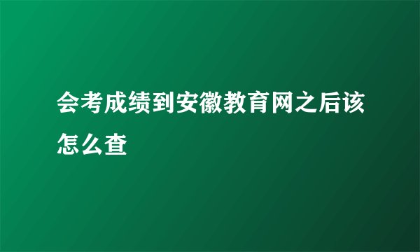 会考成绩到安徽教育网之后该怎么查