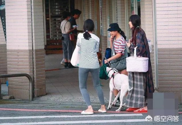 6月17日郭碧婷腹部隆起似皮球被猜测怀孕,为什么明星生子这么多人关注?