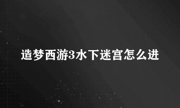 造梦西游3水下迷宫怎么进