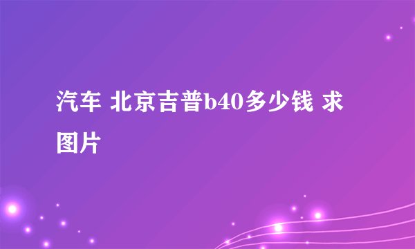 汽车 北京吉普b40多少钱 求图片