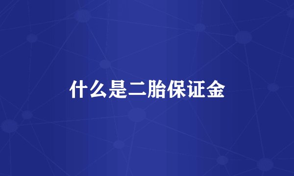 什么是二胎保证金