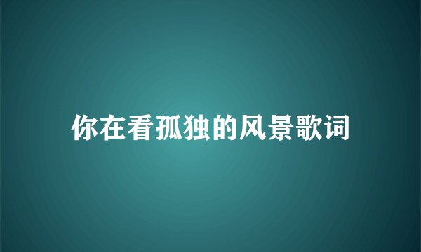 你在看孤独的风景歌词