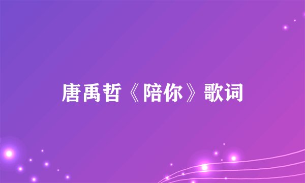 唐禹哲《陪你》歌词