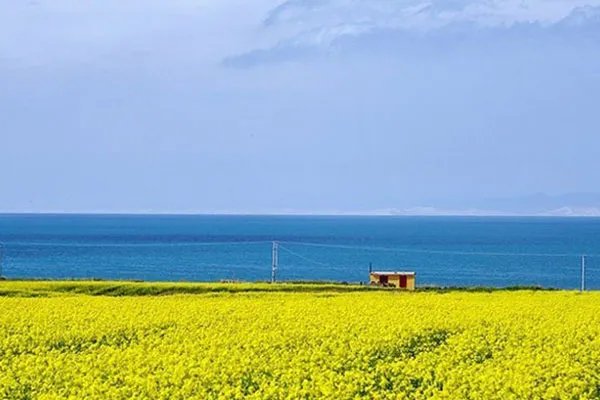 大学生毕业旅行 大学生毕业旅行去哪好