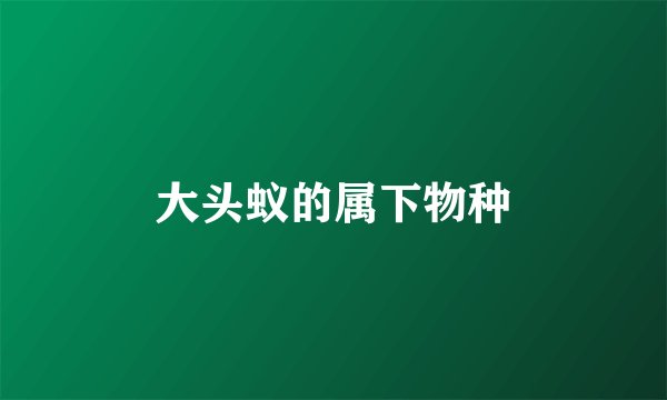 大头蚁的属下物种