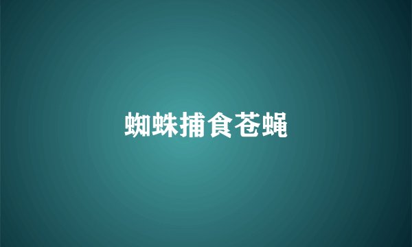 蜘蛛捕食苍蝇