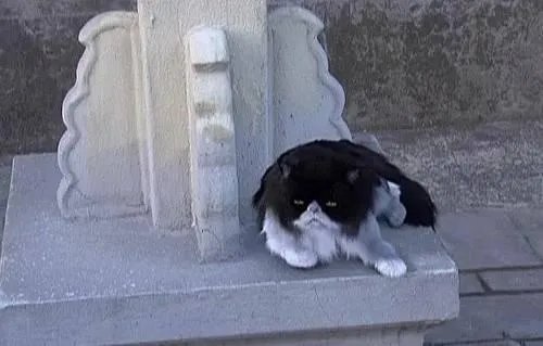 甄嬛传里有哪些穿帮镜头?