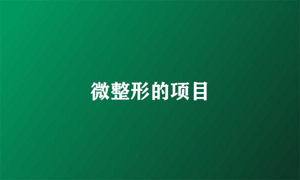 微整形的项目