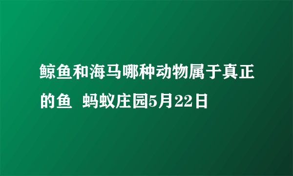 鲸鱼和海马哪种动物属于真正的鱼  蚂蚁庄园5月22日