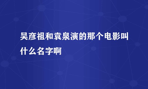 吴彦祖和袁泉演的那个电影叫什么名字啊