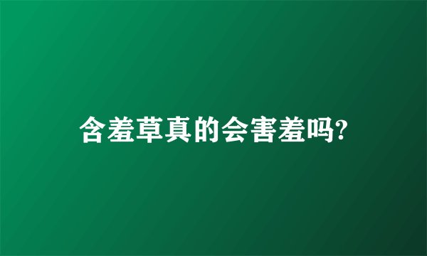 含羞草真的会害羞吗?