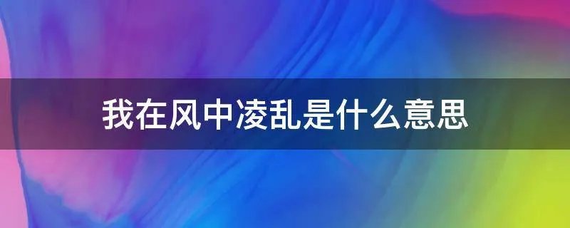 我在风中凌乱是什么意思