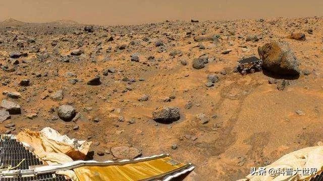 昆虫学家声称在火星上有重大发现,其理由是否充分?