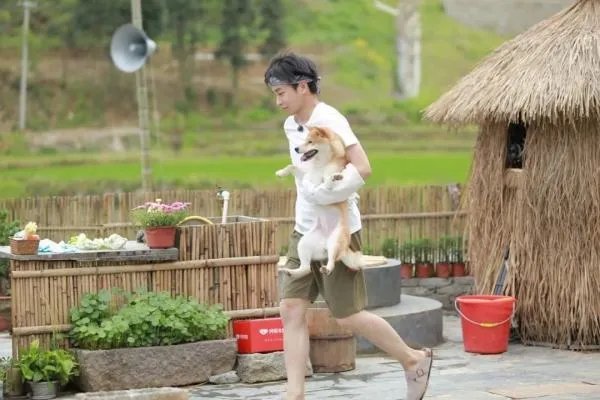 《小小的愿望》上映后,彭昱畅的番位怎么被压了?