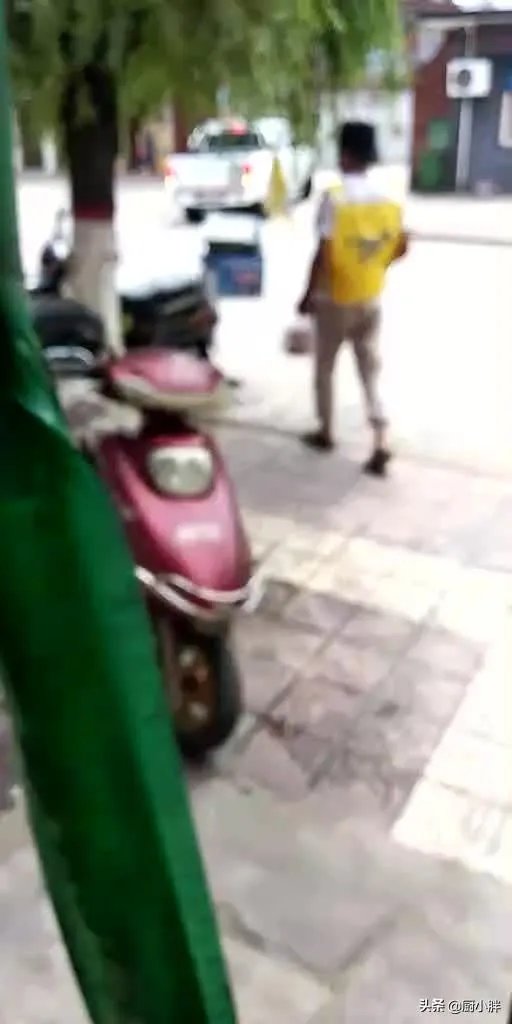 绿佳、绿驹电动车哪个好?