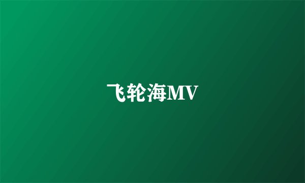 飞轮海MV