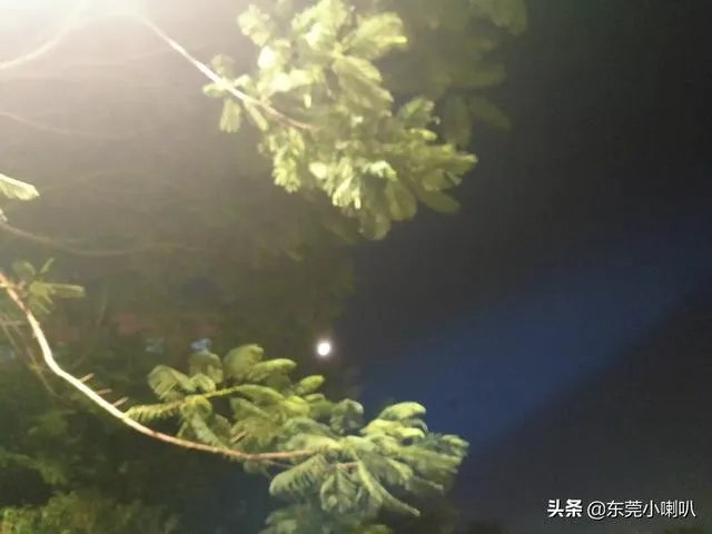 王艳和赵丽颖都饰演《还珠格格》里的晴儿,你更喜欢哪一个?