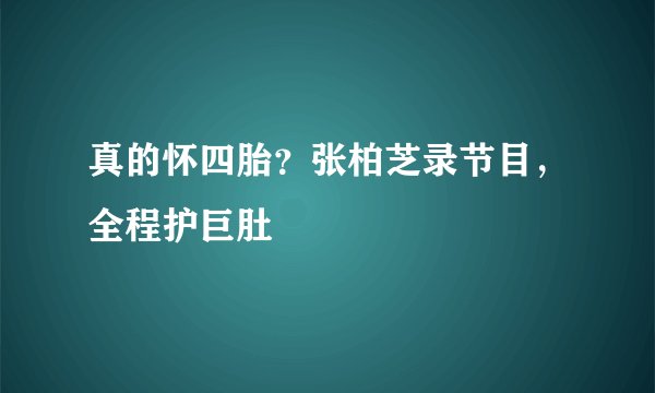 真的怀四胎？张柏芝录节目，全程护巨肚