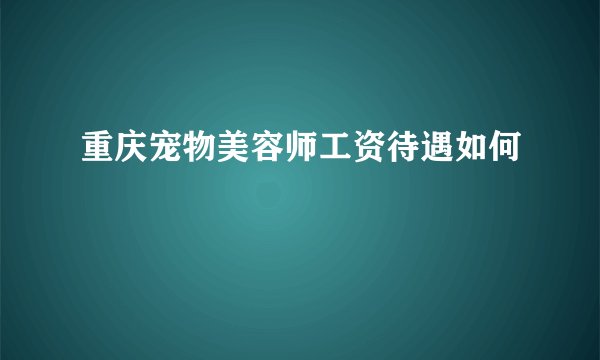 重庆宠物美容师工资待遇如何