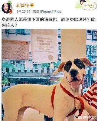 6月17日郭碧婷腹部隆起似皮球被猜测怀孕,为什么明星生子这么多人关注?
