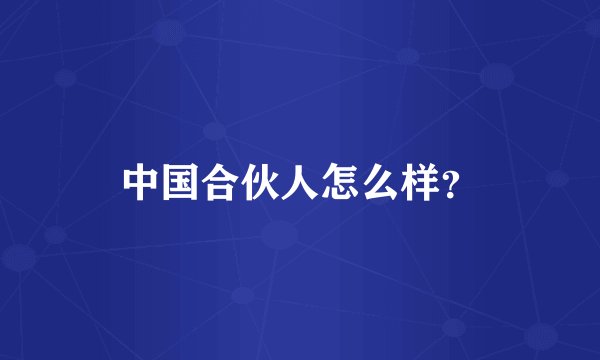 中国合伙人怎么样？