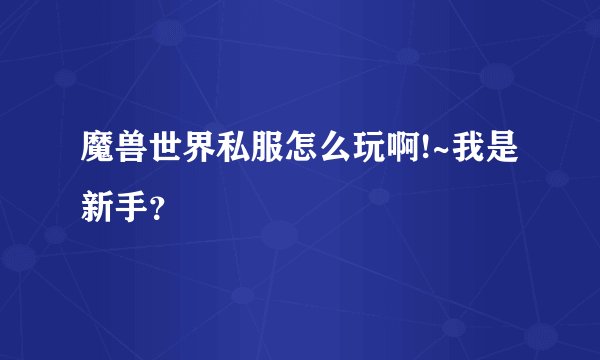 魔兽世界私服怎么玩啊!~我是新手？