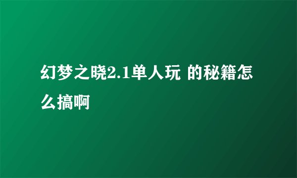 幻梦之晓2.1单人玩 的秘籍怎么搞啊