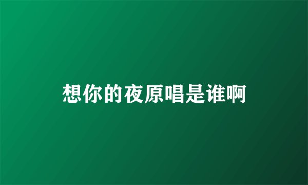 想你的夜原唱是谁啊