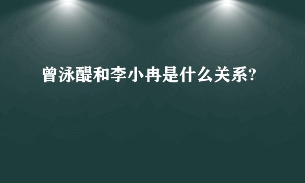 曾泳醍和李小冉是什么关系?