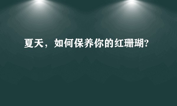 夏天，如何保养你的红珊瑚?