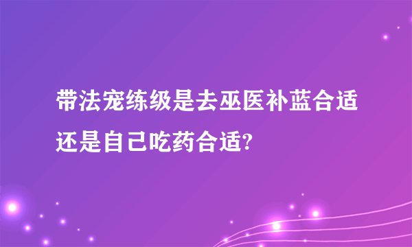 带法宠练级是去巫医补蓝合适还是自己吃药合适?