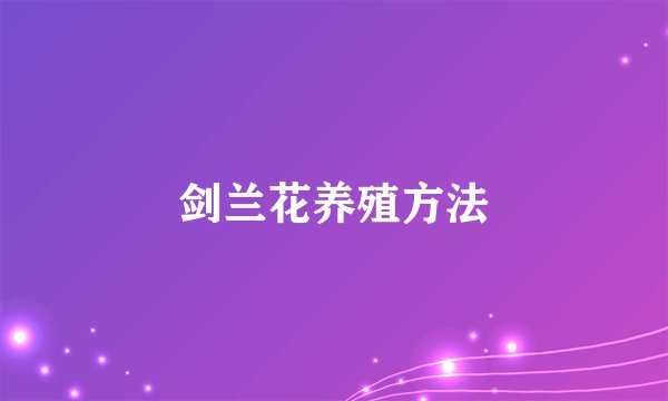 剑兰花养殖方法