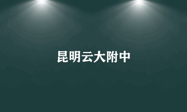 昆明云大附中