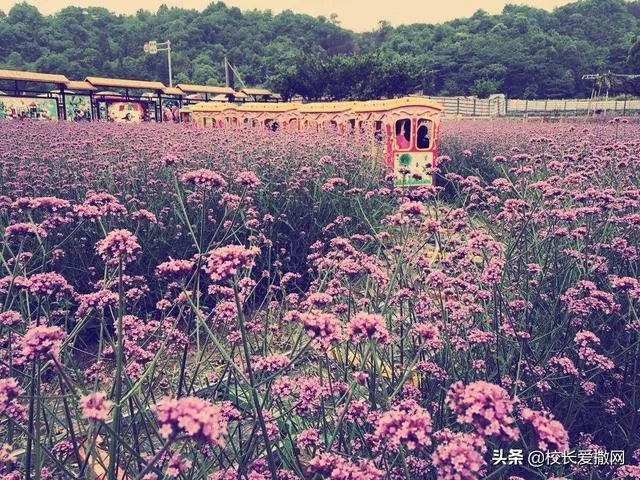 休闲农庄如何变身农业旅游景区?