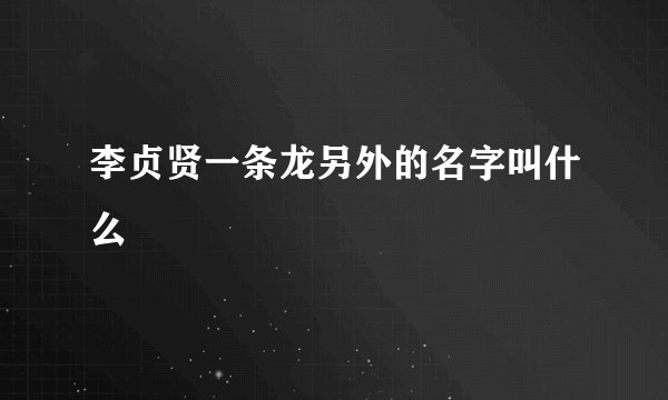 李贞贤一条龙另外的名字叫什么