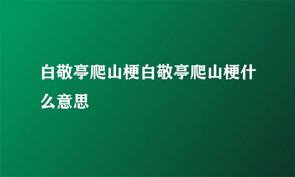 白敬亭爬山梗白敬亭爬山梗什么意思