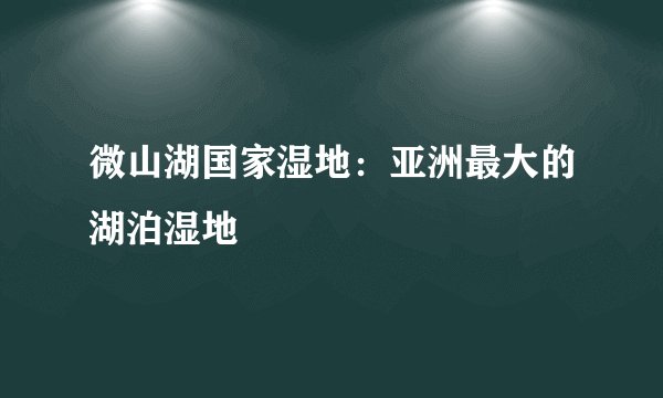 微山湖国家湿地：亚洲最大的湖泊湿地