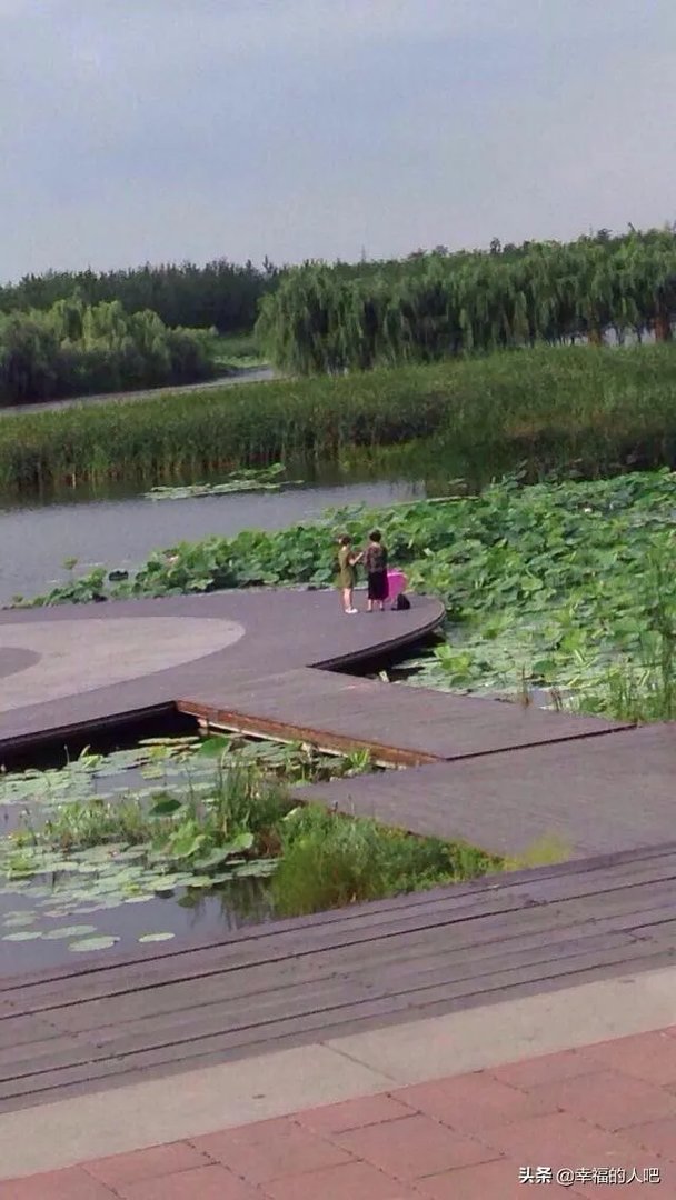 生活摄影艺术