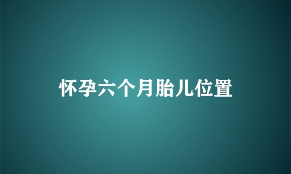 怀孕六个月胎儿位置