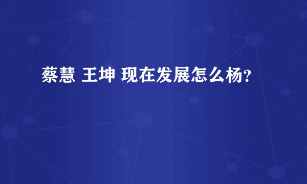 蔡慧 王坤 现在发展怎么杨？