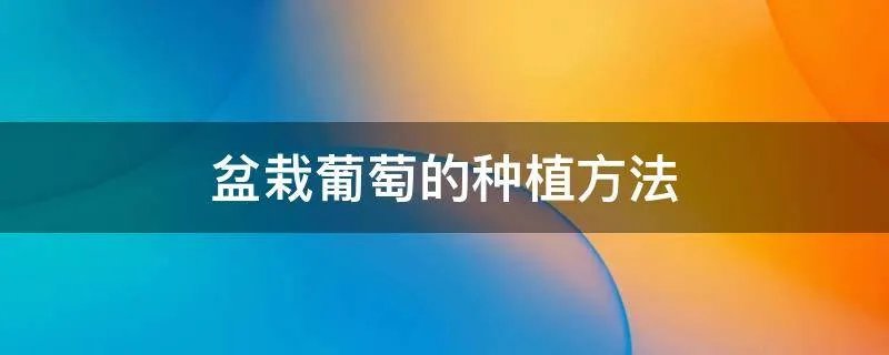 盆栽葡萄的种植方法