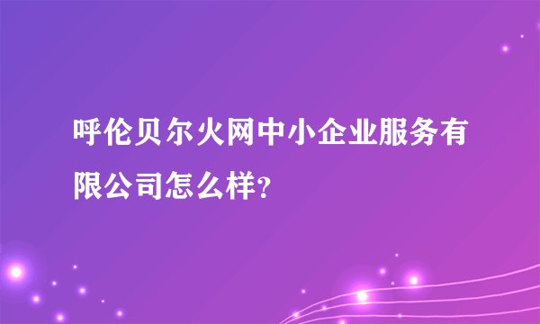 呼伦贝尔火网中小企业服务有限公司怎么样?