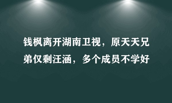 钱枫离开湖南卫视，原天天兄弟仅剩汪涵，多个成员不学好