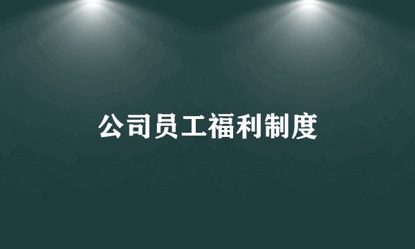 公司员工福利制度